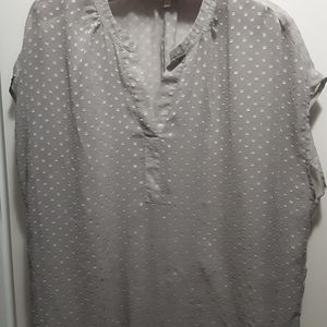 Silver Sheer Blouse